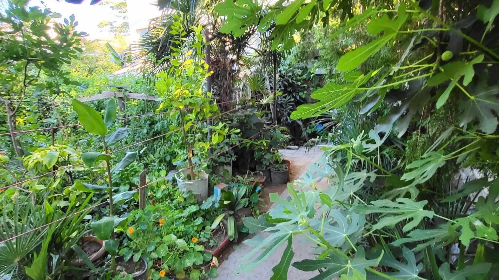 Hostel Varna Botanika