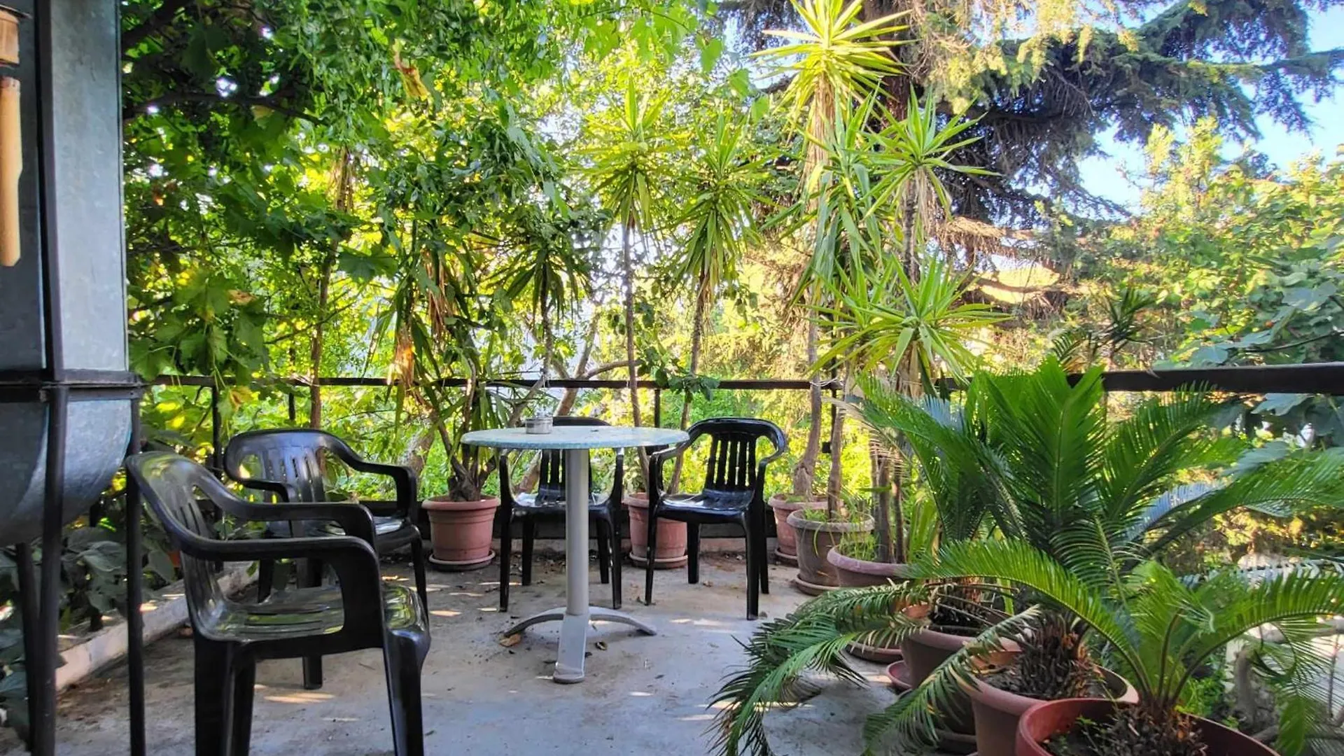 Hostel Varna Botanika